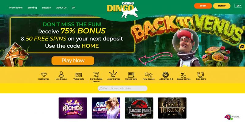 Dingo Casino Review